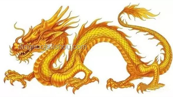 龙鳞鲤真相：近纯黑鲤鱼非“化龙失败”，价值几何？